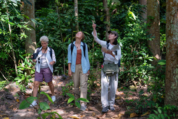 istock Backpack tourist travel outdoor adventure bird study using binoculars looking and record to book 1437946699