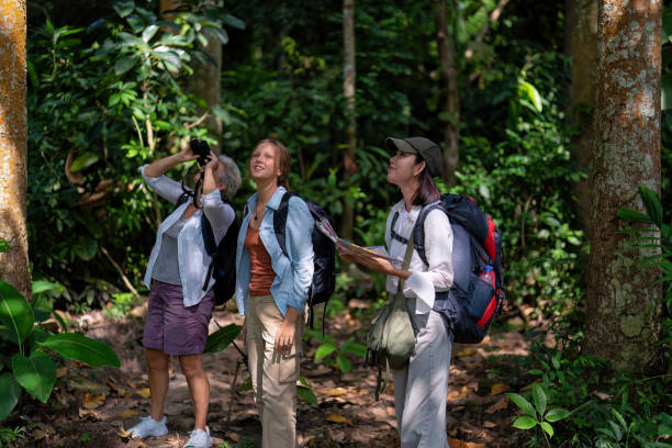 istock Backpack tourist travel outdoor adventure bird study using binoculars looking and record to book 1437946877