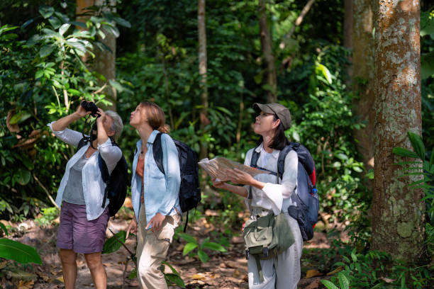 istock Backpack tourist travel outdoor adventure bird study using binoculars looking and record to book 1437946928