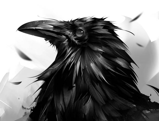 графический портрет птицы голова ворона на абстрактном фоне - bird flying inside of crow stock illustrations