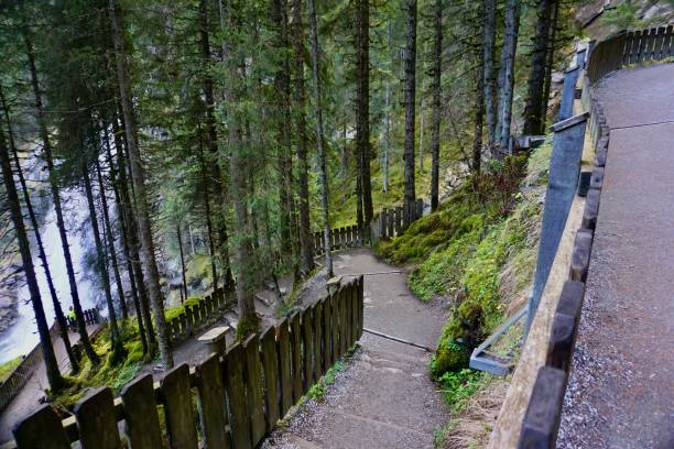 istock Ornate walking paths through a coniferous forest in Austria. Paths through the Krimml waterfalls in Austria. Walking paths through the evergreen forest through the Krimml waterfalls. 1437947578