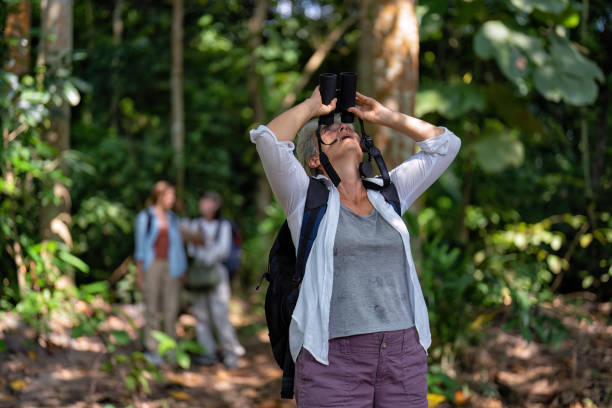 istock Backpack tourist travel outdoor adventure bird study using binoculars looking and record to book 1437947589