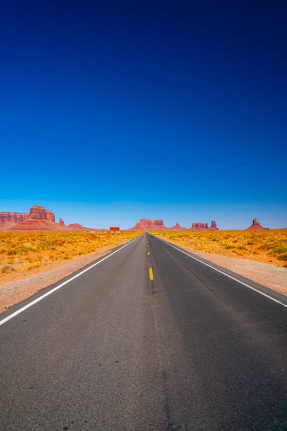 istock Vertical shot of an empty road surrounded by a landscape 1437947696