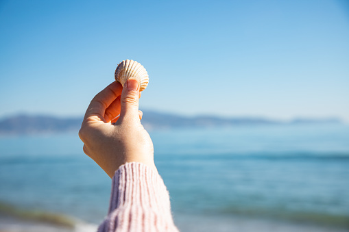 Hand holding a sea shell with the blurred see on the background with copy space