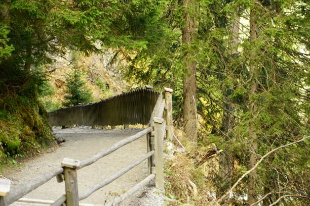 istock Ornate walking paths through a coniferous forest in Austria. Paths through the Krimml waterfalls in Austria. Walking paths through the evergreen forest through the Krimml waterfalls. 1437948373