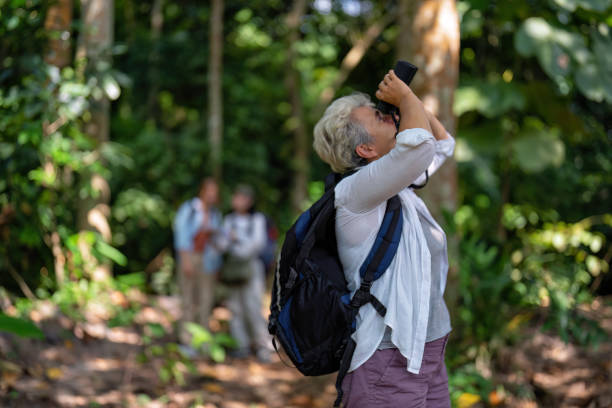 istock Backpack tourist travel outdoor adventure bird study using binoculars looking and record to book 1437948729