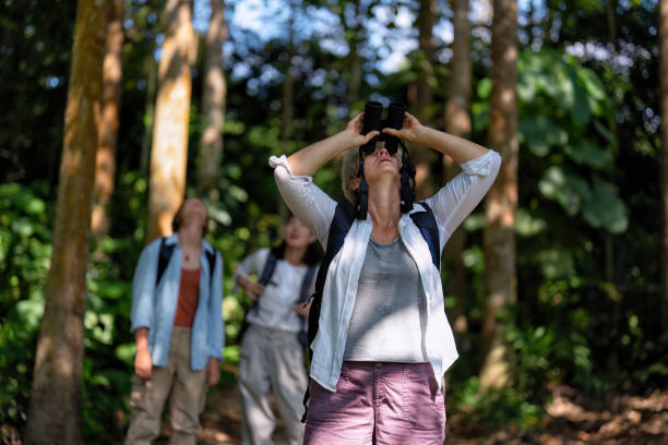 istock Backpack tourist travel outdoor adventure bird study using binoculars looking and record to book 1437949326