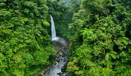 Waterfall deep down in the green tropical rainforest of Bali, Indonesia. The name of this waterfall is Nungnung and is located near the village of Ubud.