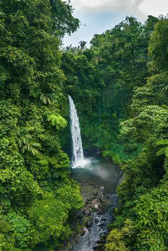 Kaieteur waterfall, Guyana