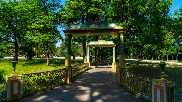 pequeño puente chino en alexander park, parque en tsarskoye selo fuera de san petersburgo en verano. ciudad de pushkin - catherine park fotografías e imágenes de stock