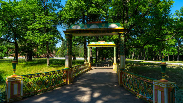 piccolo ponte cinese nel parco alexander, parco a tsarskoye selo fuori san pietroburgo in estate. città di pushkin - catherine park foto e immagini stock