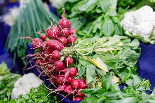 pink radishes wholesaling in a local market, shown as vegan food concept background