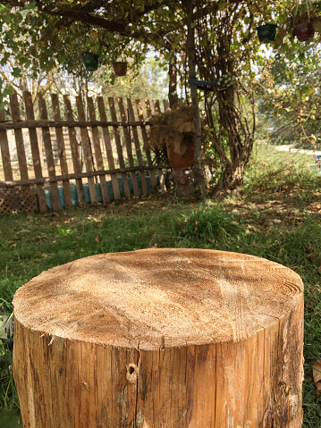 Garden decoration, empty tree stump in the garden, natural coffee table