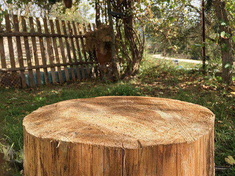 Garden decoration, empty tree stump in the garden, natural coffee table