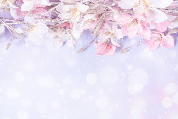 istock Christmas winter flowers background 1437962569