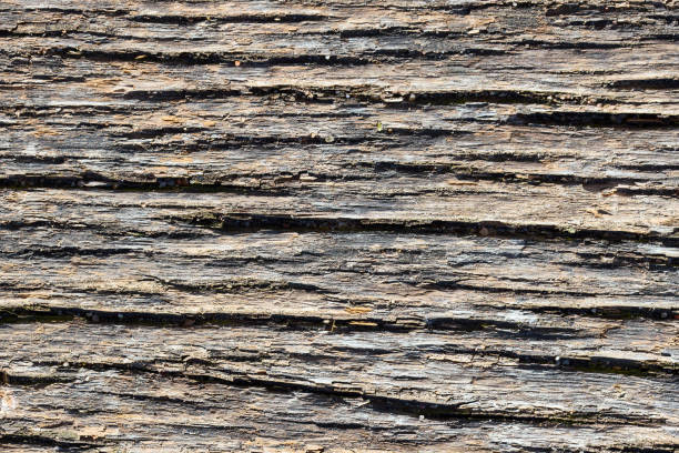 старые серые и коричневые песчаные выветриваемые вымытые испорченные текстуры дерева с горизонтальными трещинами однолетние кольца и зер - dry river textured effect dirt стоковые фото и изображения