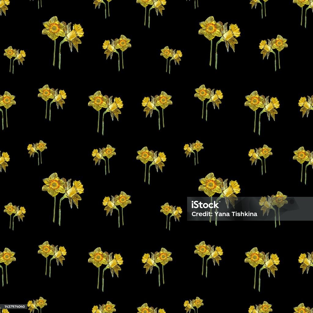Narsiccus Pattern Narcissus Seamless A Blak Pattern Watercolor Handy Stock Illustration ...