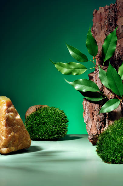 istock Natural green forest concept background, podium for product presentation. 1437974473