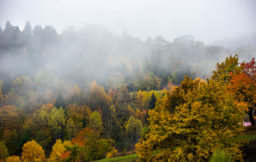 Autumn view in Savsat. Artvin, Turkey. Beautiful autumn landscape with foggy. Colorful fall nature view.