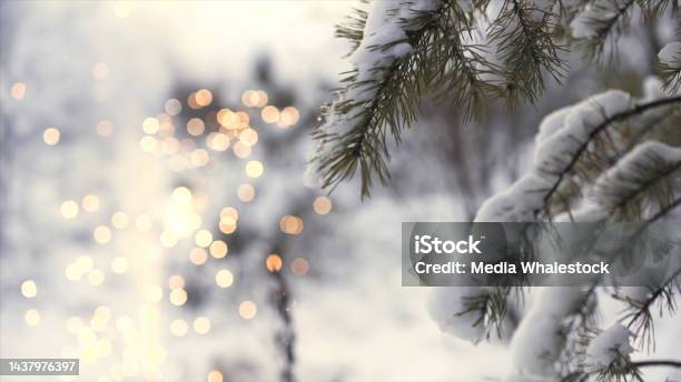 Side View Of A Girl Running Near Tree Branch With Shining Blurred Fireworks On The Background Christmas Concept Art Snow Falling From Green Spruce Branch And A Sparkler Stock Photo - Download Image Now