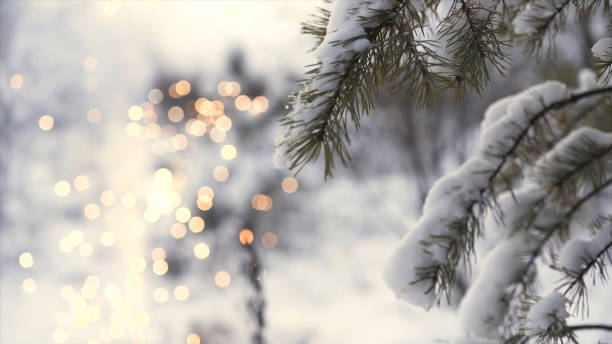 вид сбоку девушки, бегущей возле ветки дерева с сияющими размытыми фейерверками на заднем плане, рождественская концепция. искусство. снег  - photography branch tree day стоковые фото и изображения