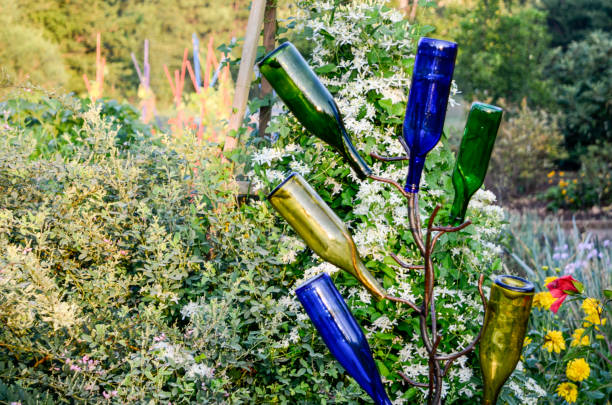 Ornamental Bottle Tree: Late Summer Blossoms in the Backyard Garden stock photo