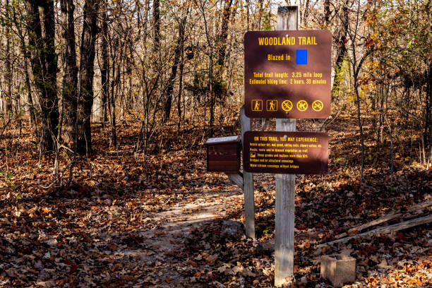 istock Woodland Trail Marker 1437980595