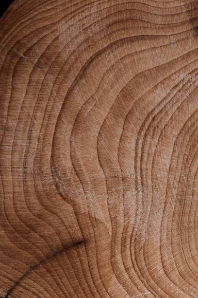 istock Wood plank to use as background and texture. 1437980774