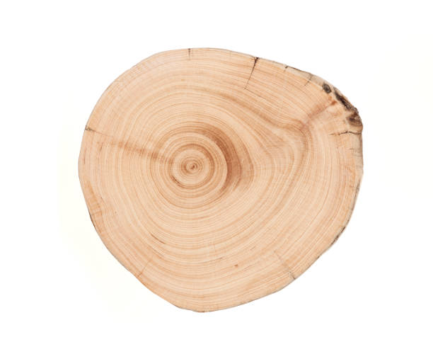 istock Wood plank to use as background and texture. 1437980777