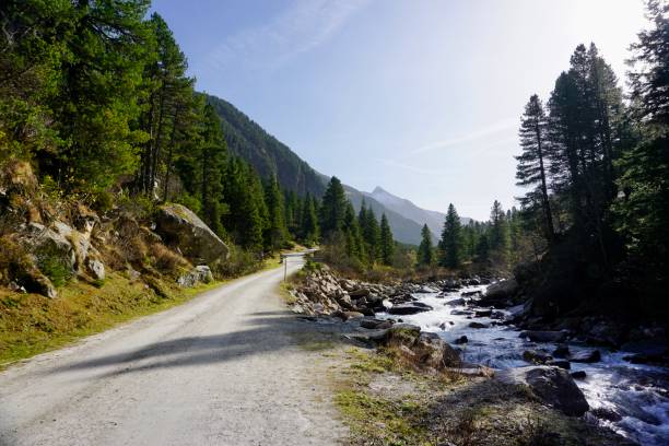 istock A flowing river along a forest and a walking path. A walk along the river in Austria. A valley near the Krimml Waterfalls. Coniferous forest and roaring river along. 1437981106