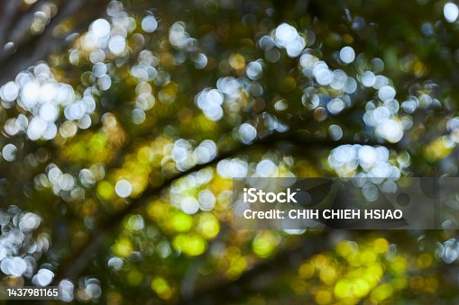 istock Green forest with blue sky bokeh background. Defocused and blur lens effect. 1437981165