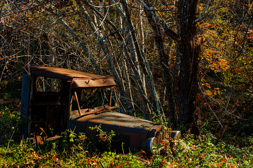 Old abandoned rusty truck in the autumn woods with grass growing around it.

Taken in in Soquel, California, USA.