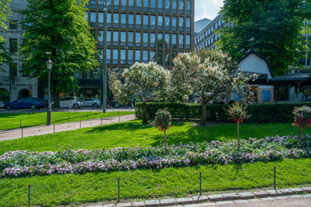 istock Fuchsias, balsamina and Lilac trees - only white  blossoms!   Esplanade park in Helsinki 1437984146