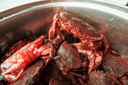 Close-up boiled red crabs, in a pot . seafood