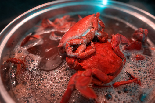 Close-up caption of red crabs in a pot of boiling water.