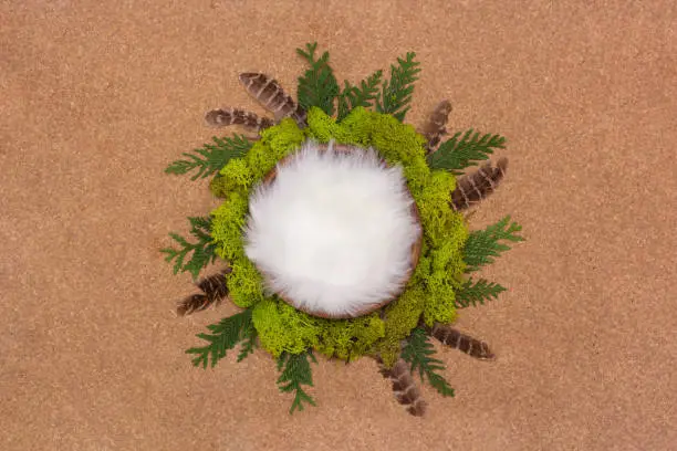 Digital background for a newborn, a bowl with white fur fluff surrounded by green moss, a forest theme.