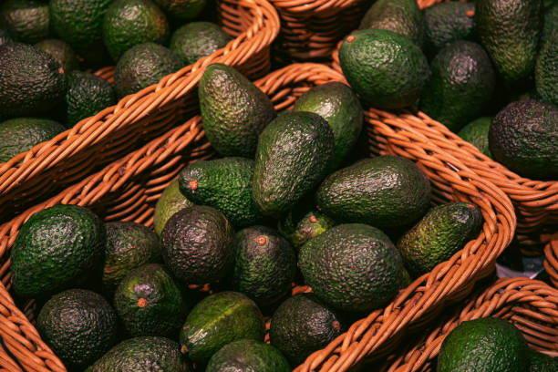 Baskets with avocado in a supermarket, close up. stock photo
