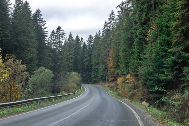 istock Winding road in a mountainous area in a coniferous forest. 1437986044