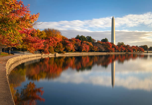 Washington DC in the fall The Tidal Basin on the Washington DC Mall in spectacular fall colors washington monument washington dc stock pictures, royalty-free photos & images