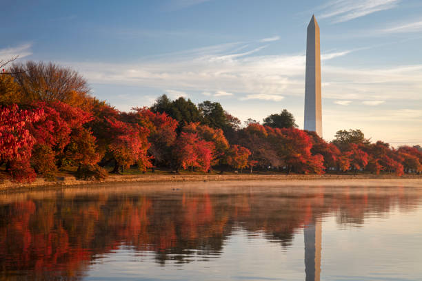 вашингтон осенью - washington dc стоковые фото и изображения