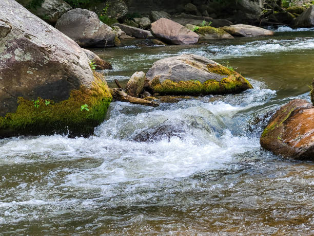 istock close-up of waterfall rapid on Chimney Rock River 1437990114