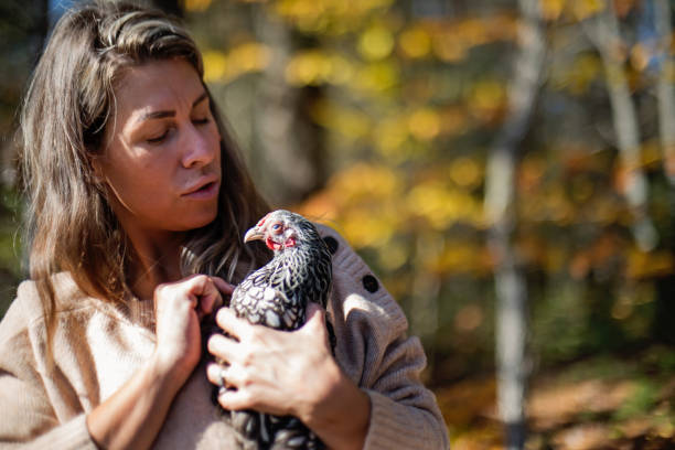 istock Woman holding a chicken with autumn forest in background. 1437992713