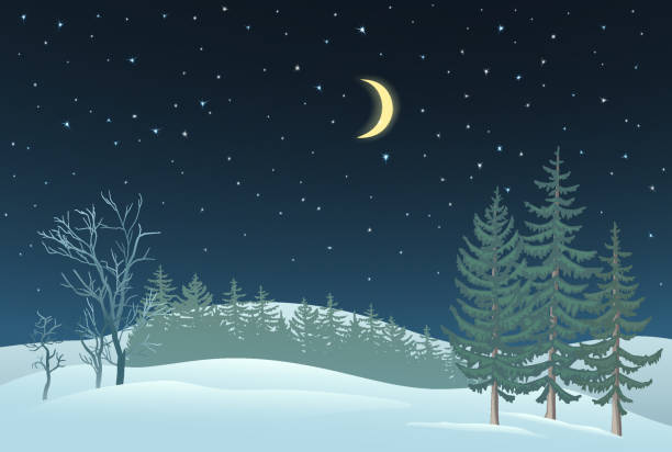 istock Winter Night Background. Theme for New Year and Christmas. 1437995979
