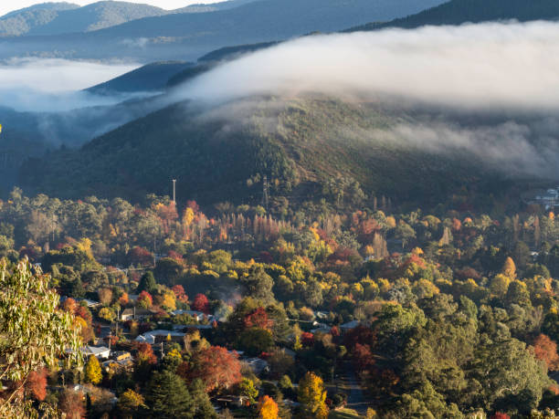 istock Town in valley with autumn trees 1437998356