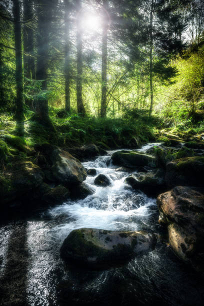 istock Waterfall in the Pyrenees mountain in France 1437999811