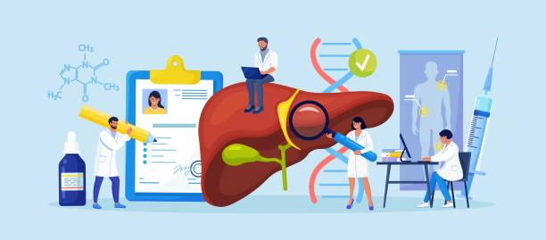 Tiny Doctors Treat the Liver Disease. Medical Diagnosis of Hepatitis A, B, C, D, Cirrhosis. Group of Doctors Examining Patient Inner Organs, Performing Lab Tests, Biopsy, Molecular Analysis vector art illustration