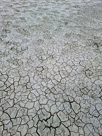 Dry riped lake ground. Captured in the Camarue (South of France).
