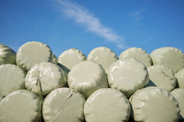 istock Silage bags against blue sky 1438001926