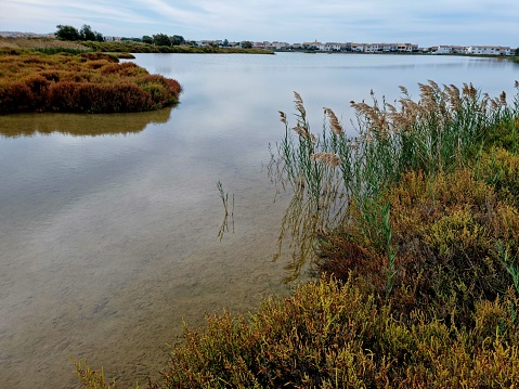 The Camargue was designated a Ramsar site as a \