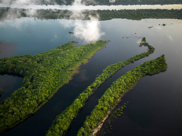istock Beautiful aerial view to green amazon rainforest, clouds and islands 1438003032